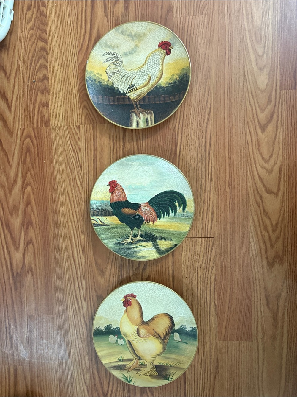 Raymond Matte Terracotta Decorative Plate set of 3
